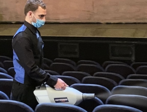 Covid-secure measures enable re-opening of Theatre Royal – 19th May